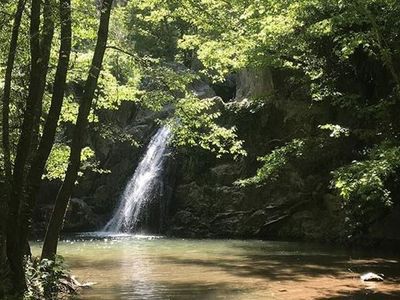 Türkiye Bu Ormanlar Sayesinde Nefes Alıyor