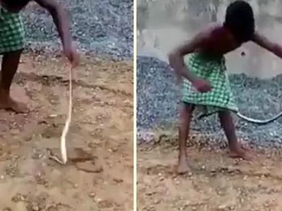 Yılanla oynayan çocuk penisini kaptırdı! O görüntüler viral oldu