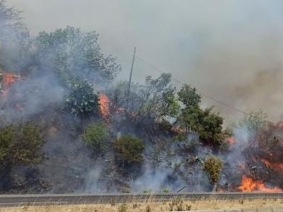 Son Dakika! Muğla'da Yangın: Evler Tahliye Ediliyor
