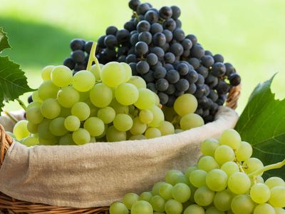 Bilim Dünyasının Gözü Bu Meyvede! Kalp Hastalığı Riskini Azaltıyor