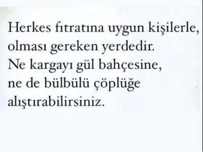 Boşanma Aşamasındayken Aldatıldığını Öğrenen Berdan Mardini Ateş Püskürdü!