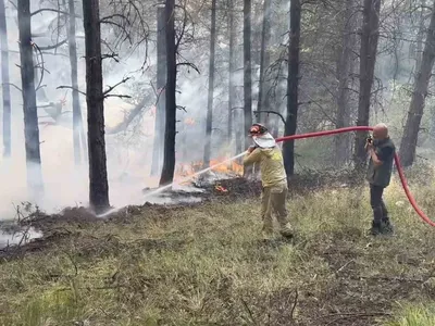 Kastamonu'daki orman yangını kısa sürede kontrol altına alındı