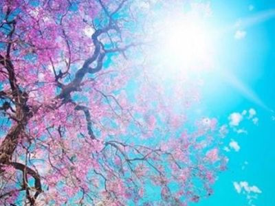 1 Nisan 2022 Cuma hava durumu nasıl olacak? Meteoroloji Genel Müdürlüğü  1 Nisan 2022 hava durumu tahmin raporunu yayımladı: Sıcaklıklarla beraber yağışlar da geliyor