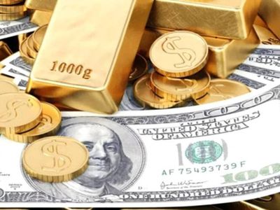 10 ay sonra ilk kez yaşandı! Merkez Bankası döviz satışı yapmadı