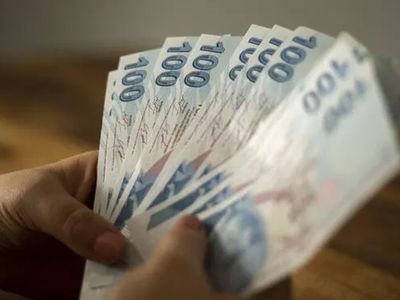 1100 TL pandemi yardımı devam ediyormu, sonuç sorgulama nasıl yapılır? Pandemi yardımlarında son durum: İşte E devlet başvuru sonuç sorgulama ekranı
