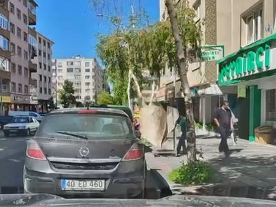 Erzurum'da 7. kattan düşen halı kadının başına isabet etti