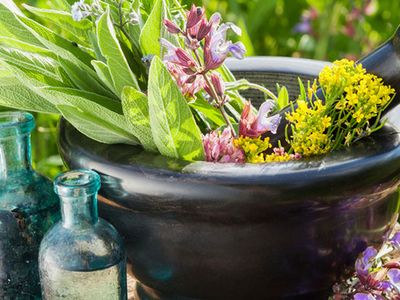139 Çeşit Tıbbi Aromatik Ve Süs Bitkisine Hazine Desteği Yerli Üretim Hazine Taşınmazları İle Destekleniyor