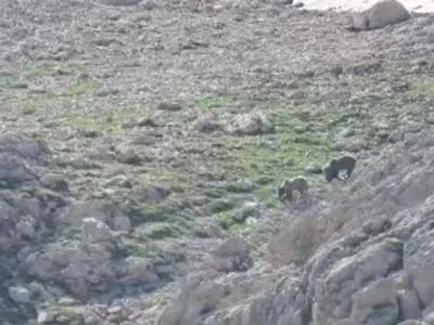 images