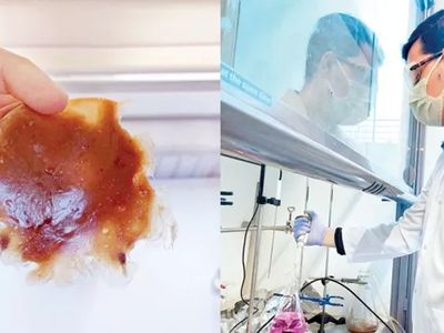 19 yaşındaki Türk gençten gururlandıran çalışma: Ispanaktan geri dönüşümlü plastik üretti