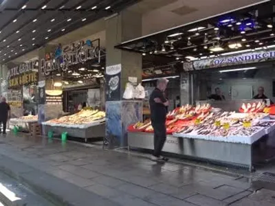 Palamutta bu sezon için umutlar artıyor: Balıkçılar bekliyor