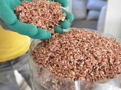 20 gramı 40 liradan satılıyor: İşte anti-kanser mucizesi olan yağ