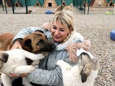 20 milyon TL'lik yardım parası ile vurgun! "Köpek velisi" Buket Özgünlü tutuklandı