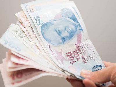 Orman Genel Müdürlüğü (OGM) İşçi Alımı Başvuruları Ne Zaman Sona Eriyor?