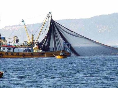 2022 Balık Avı Yasağı ne zaman bitiyor? Balık avı yasağı tarihleri