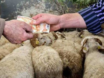 2022 Kurban Bayramı tatili kaç gün, uzatıldı mı? Bayram tatili birleşecek mi, 9 gün olur mu?