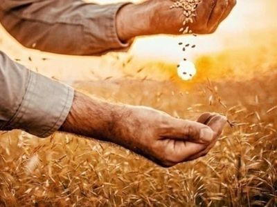 2022 tarımsal destek ödemeleri başladı mı, ödemeler ne zaman yapılacak?