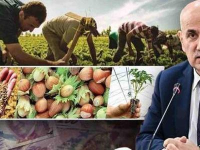 2022 Tarımsal destek ödemeleri ne kadar? Tarımsal destek ödemeleri ne zaman başlayacak?