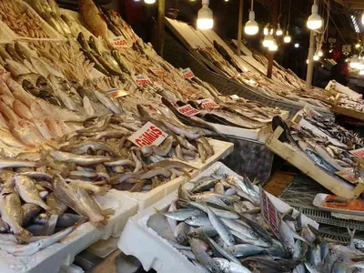 Mersin'de av yasağı kalktı, balık pazarında hareketlilik arttı