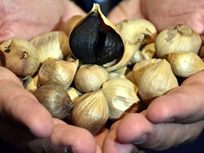 25 liralık Taşköprü sarımsağını siyaha çevirerek 2 bin avroya satıyor!