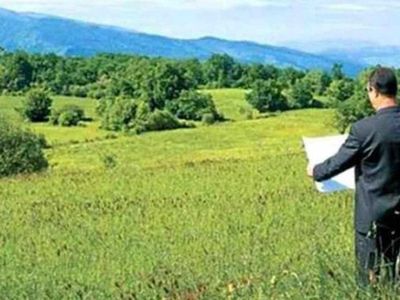 2B arazisi nedir, kimler satın alabilir? 2B arazisi hak sahipleri belli oldu