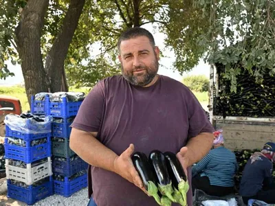 Manisa'da sel felaketinin ardından yeniden hasat sevinci yaşandı
