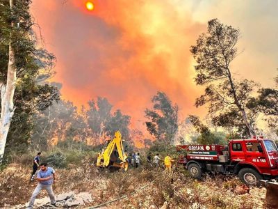 3 ilde orman yangınları devam ediyor: Çok sayıda yerleşim yeri boşaltıldı