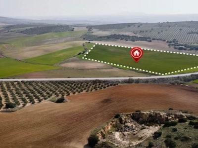 30 arsa %20 indirimli satışa çıkarıldı! Nisan 2024 kampanyasını neşe saçıyor