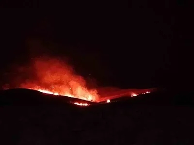 Diyarbakır'da çıkan anız yangınına müdahale sürüyor