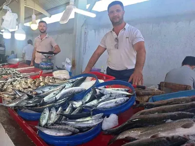 Hisarcık'ta palamut yılı: Vatandaşlar en çok bu balığı tercih ediyor