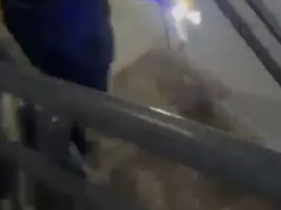 Osmaniye'de üçüncü kata çıkan tilki itfaiye ekipleri tarafından kurtarıldı