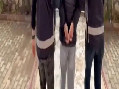 images