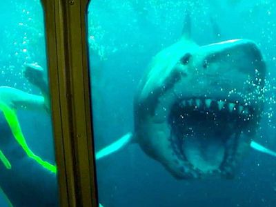 47 Metre Derinde: Kafes film konusu ve oyuncuları