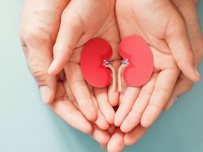 48 hastaya organ nakli yapılarak hayata tutunmaları sağlandı!