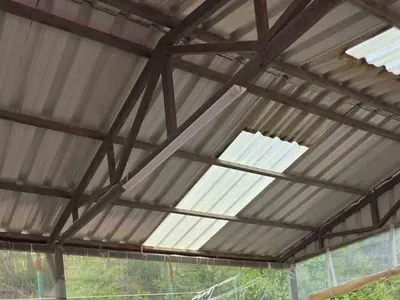 Bocce müsabakasında huzurevi sakinleri dostluk için bir araya geldi