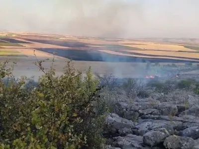 Besni'de anız yangını ormana sıçradı, ekipler zamanla koştu