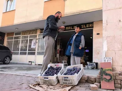 Bursalı çiftçinin erik yardımı sosyal medyada ses getirdi