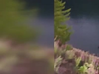 Gümüşhane'de baraj gölüne düşen araçta bir kişi hayatını kaybetti