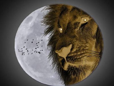 5 Şubat aslan dolunayı nedir, ne zaman başlayacak? Aslan dolunayı burçlara etkisi neler olacak?