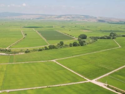 53 İlde 747 Arsa Satışı Bugün Başladı: Yüzde 25 Peşin, 24 Ay Vade Seçeneği