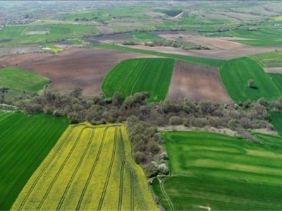 55 kelepir arsanın satışı için start verildi! Bedava arsa satılacak