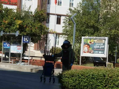 images