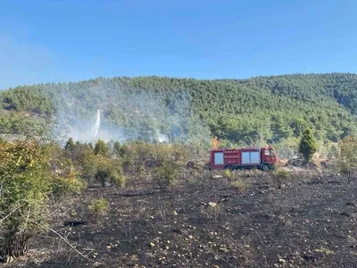 Bilecik'te çıkan tarla yangını hızla kontrol altına alındı