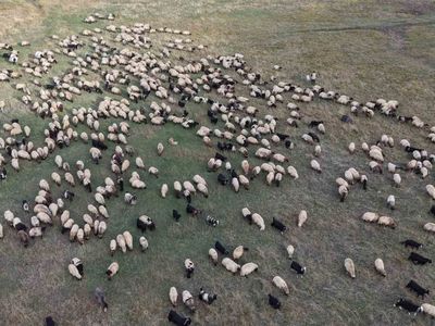 Yazdan kışa dönüş yolculuğu: göçerler Van’dan Siirt’e yola çıktı
