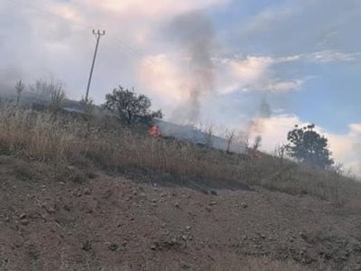 Malatya'nın Doğanşehir ilçesinde orman yangını kontrol altına alındı