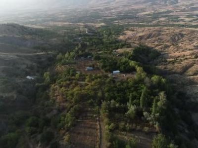 Öğretmen ceviz bahçesinde hasat dönemini açtı