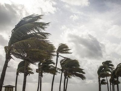 7 Nisan 2022 Perşembe hava durumu nasıl olacak? Meteoroloji Genel Müdürlüğü 7 Nisan 2022 hava durumu tahmin raporunu yayımladı: Yurt genelinde kuvvetli rüzgar uyarısı!