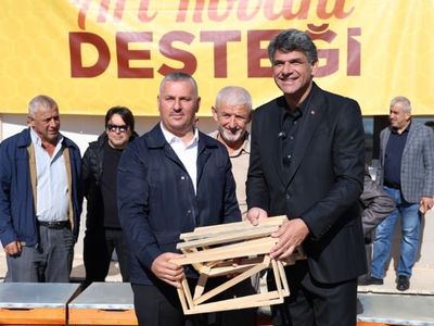 images