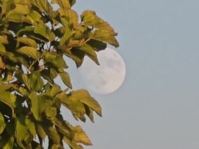 images