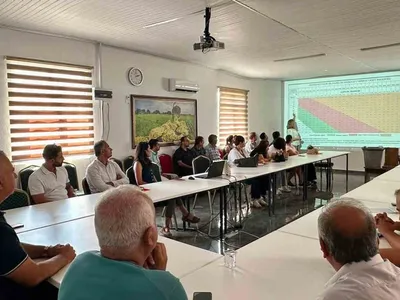 Hatay'da turunçgil hasatında doğru teknikler masaya yatırıldı