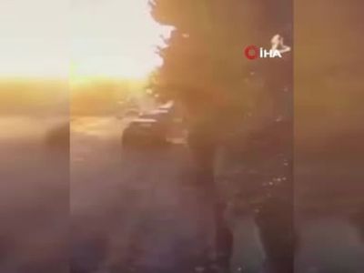 Silivri'de sokak köpeklerine araçla zarara veren kişi tutuklandı